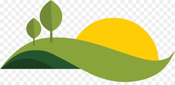 Port Blair, Andaman Islands, Canberra, Leaf, Green PNG