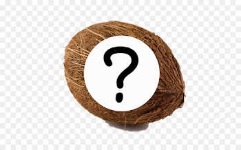 Port Blair, Coconut, Brown Coconut, Number, Circle PNG