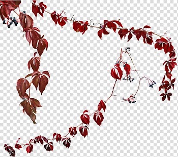 Portable Network Graphics Adobe shop Common ivy, lavanda Watercolor transparent background PNG clipart