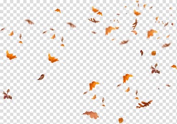 Portable Network Graphics Adobe shop Desktop , leaf transparent background PNG clipart