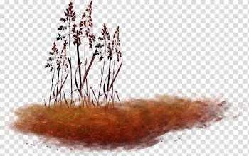 Portable Network Graphics Autumn Herbaceous plant, autumn transparent background PNG clipart