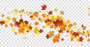 Portable Network Graphics Autumn leaf color Autumnal leaves, autumn transparent background PNG clipart