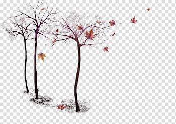 Portable Network Graphics Autumn Tree Twig , autumn transparent background PNG clipart