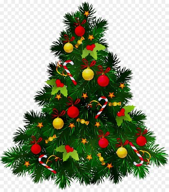 Portable Network Graphics Christmas tree Christmas Day Clip art Image -  