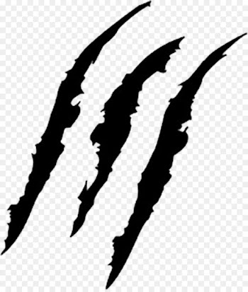 Portable Network Graphics Clip art Claw Image Cat - claw 