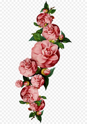 Portable Network Graphics Clip art Flower Psd Encapsulated PostScript - flower 