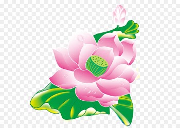 Portable Network Graphics Clip art Image Design Vector graphics - peony outline 