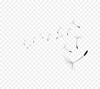 Portable Network Graphics Clip art Image Desktop Wallpaper Vector graphics - dandellion streamer 