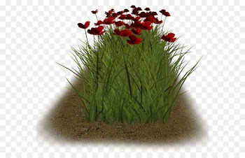 Portable Network Graphics Clip art Image Flower Download - flower 