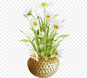 Portable Network Graphics Clip art Image Flowerpot Vase - april flower daisy 