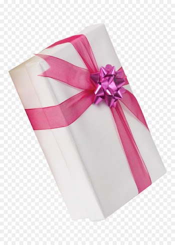 Portable Network Graphics Clip art Image Gift Christmas Day - gift 