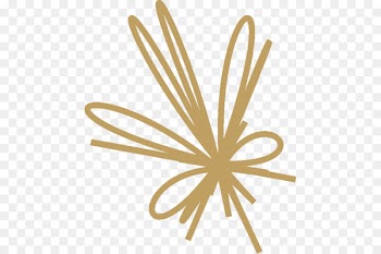 Portable Network Graphics Clip art Image Openclipart Ribbon - condition ornament 