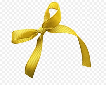 Portable Network Graphics Clip art Image Ribbon Photography - ribbon 