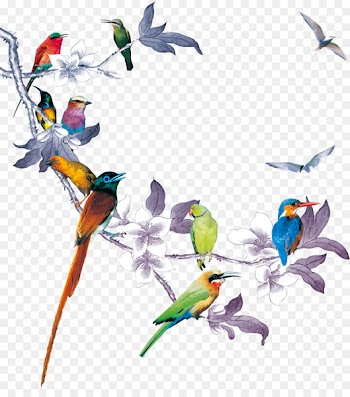 Portable Network Graphics Clip art Image Stock photography Desktop Wallpaper - sona sign 