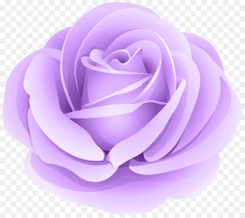 Portable Network Graphics Clip art Image Vector graphics Desktop Wallpaper - clematis transparency and translucency 