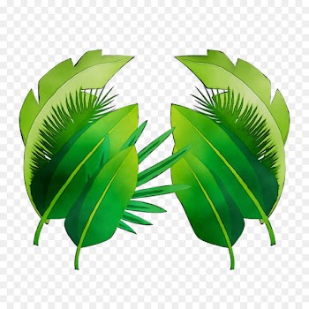 Portable Network Graphics Clip art Image Vector graphics Leaf -  
