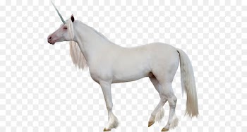 Portable Network Graphics Clip art Image Vector graphics - transparent unicorn poop 