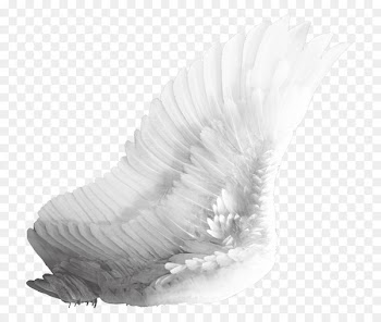 Portable Network Graphics Clip art Image White Angel Transparency - wingspng stamp 