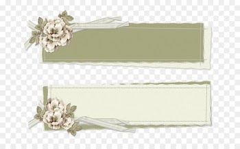 Portable Network Graphics Clip art JPEG Image Cut flowers -  