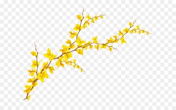 Portable Network Graphics Clip art Leaf Borders and Frames Image -  