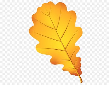 Portable Network Graphics Clip art Leaf Image Drawing - leaf 