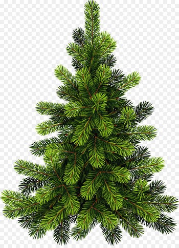 Portable Network Graphics Clip art Pine Tree Image - tree 
