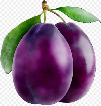 Portable Network Graphics Clip art Plum Image Transparency -  