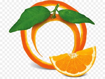 Portable Network Graphics Clip art Stock photography Image Vector graphics - orange 