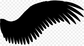 Portable Network Graphics Clip art The Raven Book Store Image Vector graphics -  