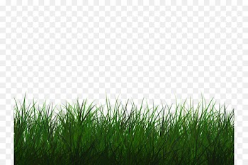 Portable Network Graphics Clip art Transparency Image Vector graphics - bluegrass background 