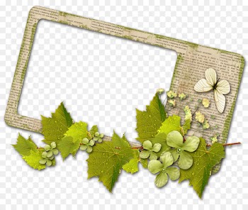 Portable Network Graphics Clip art Vector graphics Image - art set 