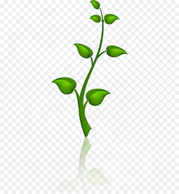 Portable Network Graphics Computer Icons Image Design Vector graphics - leaf swag 