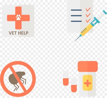 Portable Network Graphics Design Computer Icons Image Logo - pets icon 