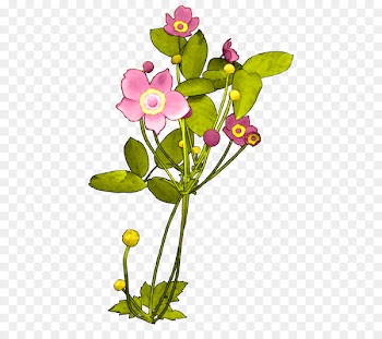 Portable Network Graphics Design Image Plants Adobe Photoshop -  