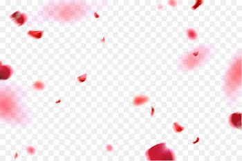 Portable Network Graphics Design Petal Image Illustration - floating 