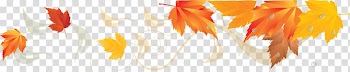 Portable Network Graphics Desktop Leaf , transparent background PNG clipart