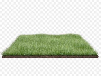 Portable Network Graphics Desktop Wallpaper Image Computer Icons Clip art - lawn land 