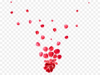 Portable Network Graphics Desktop Wallpaper Image GIF APNG - effects ornament 