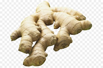 Portable Network Graphics Desktop Wallpaper Transparency Ginger Image - ginger 