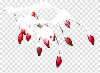 Portable Network Graphics Encapsulated PostScript , church in snow transparent background PNG clipart