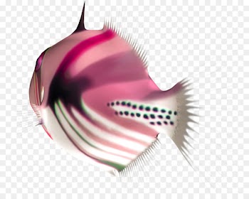 Portable Network Graphics Fish Image Download Animal - fish 
