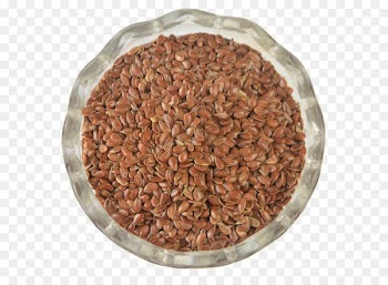 Portable Network Graphics Flax seed Nut Egg - flaxseed sign 