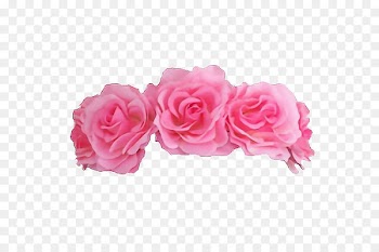 Portable Network Graphics Flower Image Clip art Crown - flower 