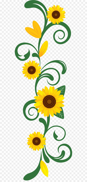 Portable Network Graphics Flower Image Petal -  