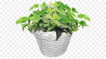 Portable Network Graphics Flowerpot Image Vector graphics Clip art - pot plkant 