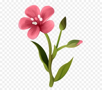 Portable Network Graphics Green Image Flower Color - flower 