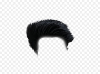 Portable Network Graphics Hairstyle Image editing - hair 