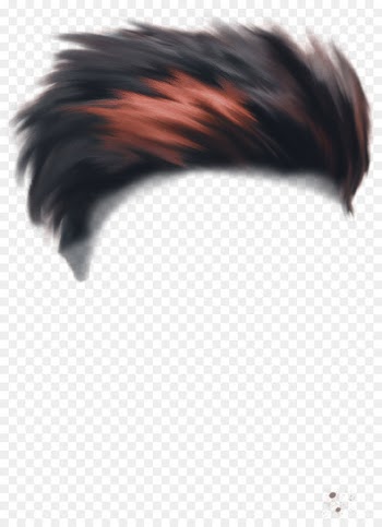 Portable Network Graphics Hairstyle Image PicsArt Photo Studio - hair 