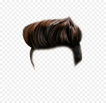 Portable Network Graphics Hairstyle Image PicsArt Photo Studio - hair 