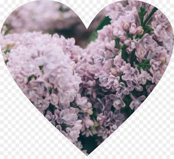 Portable Network Graphics Heart Clip art Image PicsArt Photo Studio - andy sign 